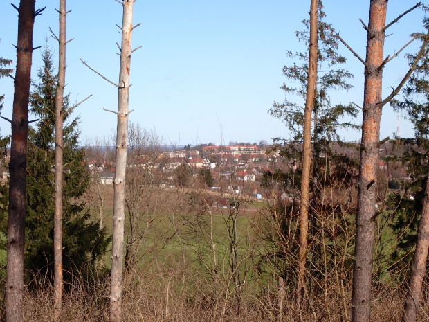 Panorama Fromborka