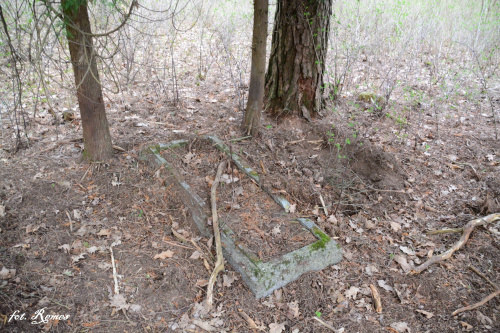 Wężówka - nieczynny cmentarz ewangelicki