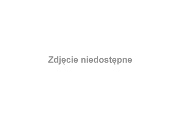 Radzie - nieczynny cmentarz ewangelicki