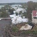 Śnieg