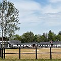 stadnina w Szczawnie-Zdroju