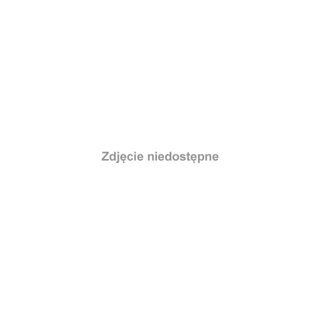 Wreszcie płynie! 8 km/h to prędkość tego ,,wodnego pendolino''