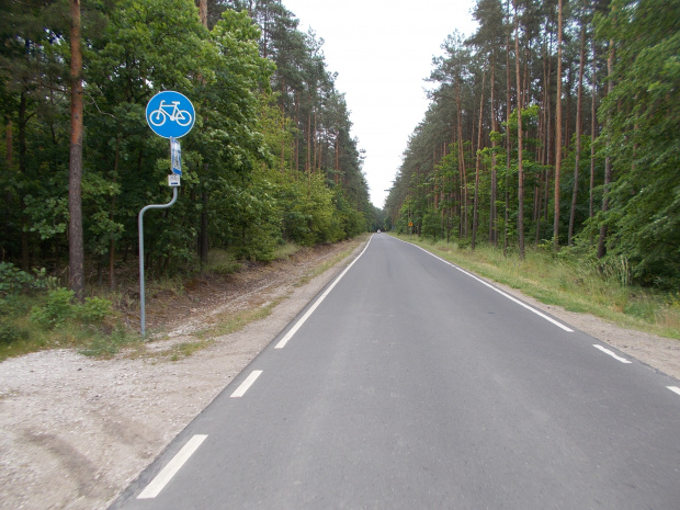 Szeroka długa asfaltowa prosta i zabawna w formie i treści droga rowerowa po lewej