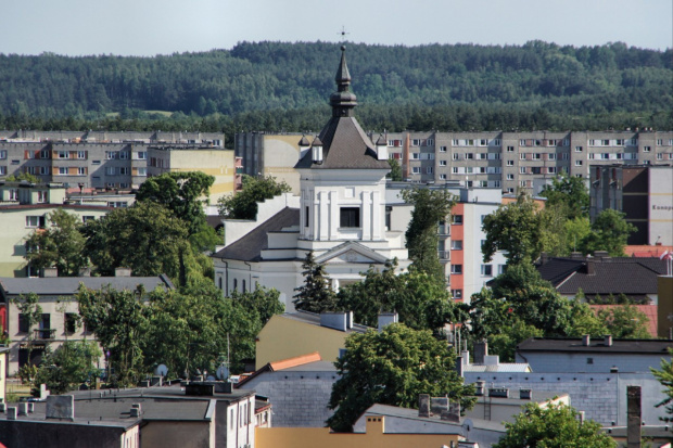 Golub - Dobrzyń
Widok na miasto z zamku