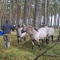 Kiedy coś ciekawego się dzieje, zwykle nie mam przy sobie aparatu.. foto z komórki ;)