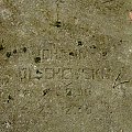 Anuszewo - nieczynny cmentarz ewangelicki