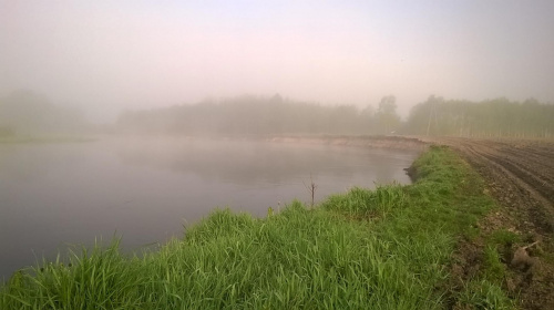 Rzeka Wieprz okolice Baranowa
