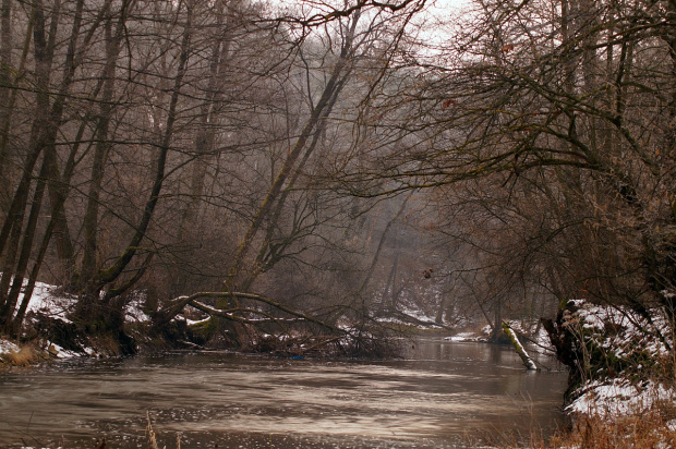 świętokrzyskie