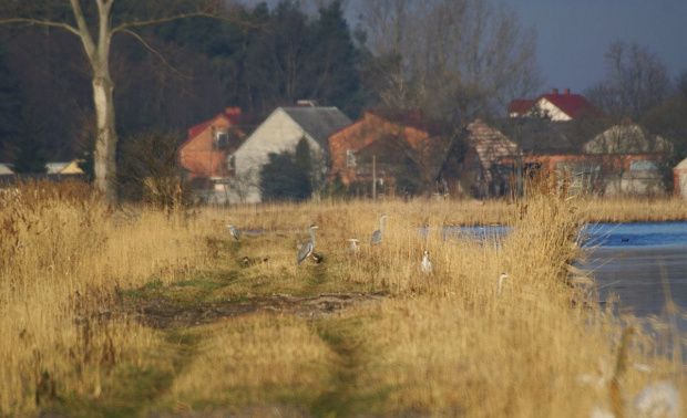 świętokrzyskie