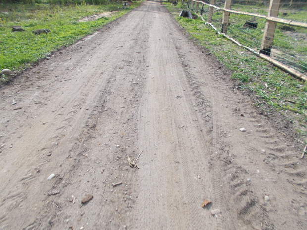 Białowieża-Hajnówka.