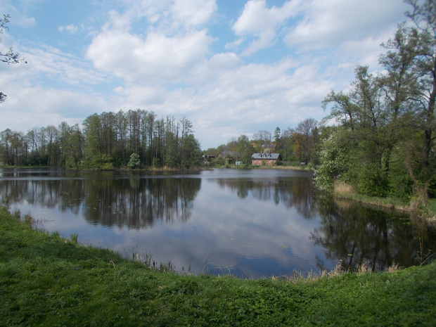 Białowieża