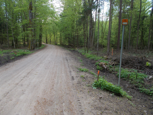 Białowieża-Hajnówka.