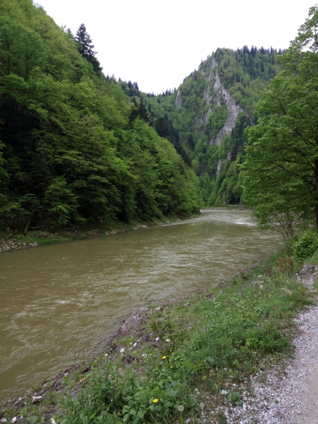 Dunajec