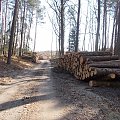 Ścieżka rowerowa wzdłuż Mierzei Wiślanej. Odcinek Kąty Rybackie-Krynica Morska. Brak drzew i robi się jasno.