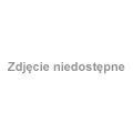 Malbork-po obiedzie na Orlenie ruszamy na ostatnie 100 km. Na pierwszym planie Joanna, jedyna z naszych trzech rodzynek, która dotrze na metę w Elblągu.