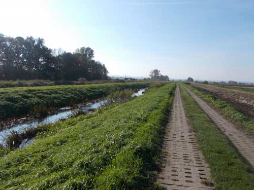 Odcinek Grabiny Zameczek-Pruszcz Gdański