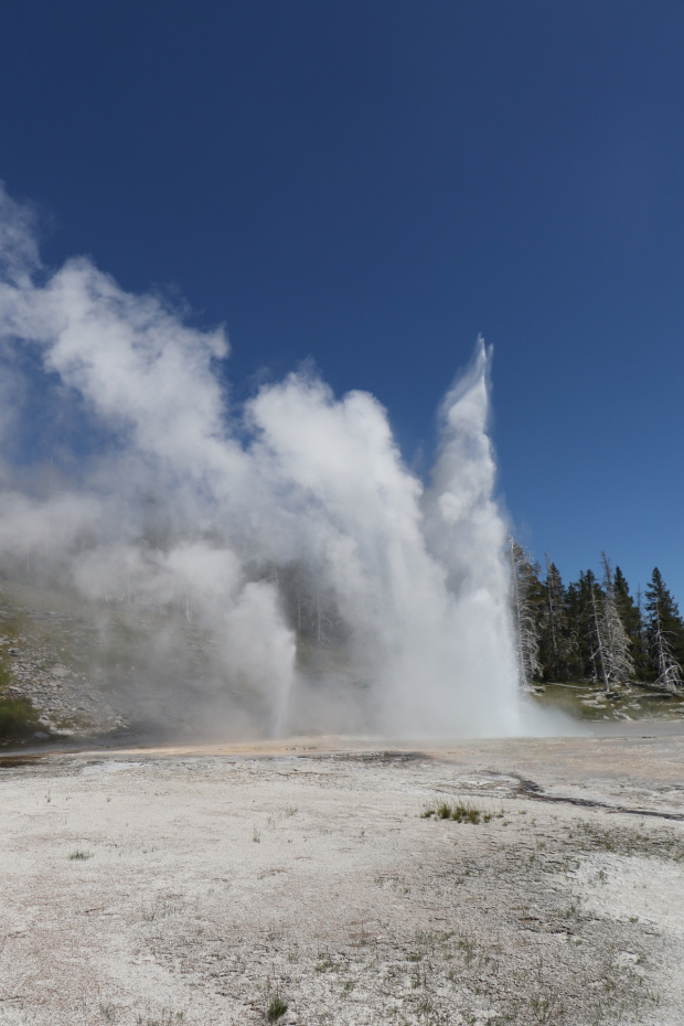 Upper Geyser Basin- Daisy Geyser