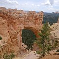 Bryce- - Natural Bridge