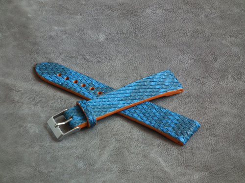 961ae37f63c8f13cmed.jpg
