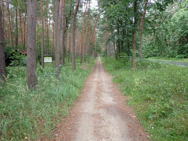 Odcinek Włocławek-Toruń