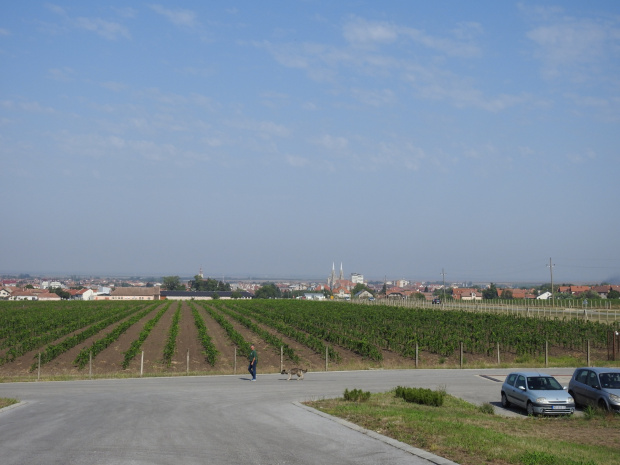 Vrsac 9